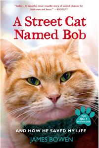 A Street Cat Named Bob and How He Saved My Life