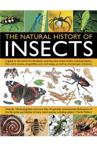 The Natural History of Insects