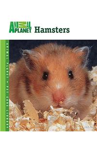 Hamsters