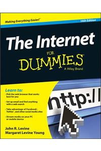 The Internet for Dummies