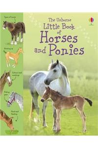 Little Book of Horses and Ponies