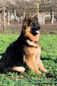 German Shepherd Dog Affirmations Workbook German Shepherd Dog Presents: Positive and Loving Affirmations Workbook. Includes: Mentoring Questions, Guidance, Supporting You.