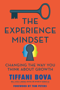 The Experience Mindset