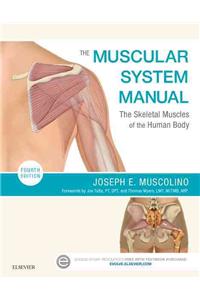 The Muscular System Manual