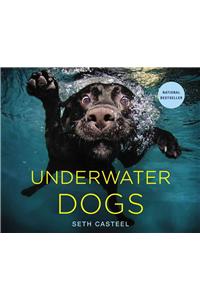 Underwater Dogs