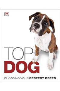 Top Dog: Choose the Perfect Breed for You