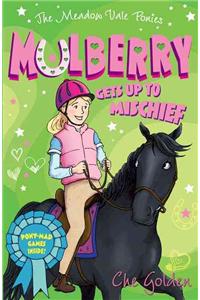 Meadow Vale Ponies: Mulberry Gets up to Mischief