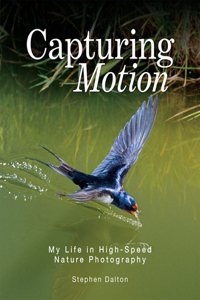 Capturing Motion