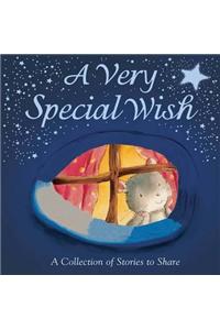 Very Special Wish