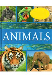 Animals Of The World