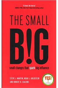 The small BIG: small changes that spark big influence