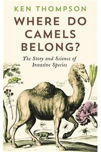 Where Do Camels Belong?