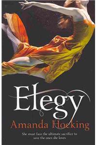 Elegy