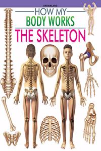 The Skeleton (How My Body Works)