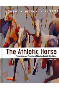 The Athletic Horse