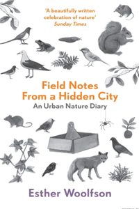 Field Notes from a Hidden City