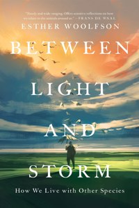 Between Light and Storm