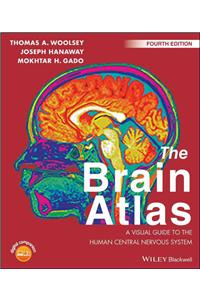 The Brain Atlas