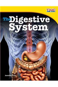 The Digestive System