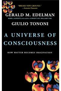 A Universe of Consciousness