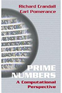 Prime Numbers: A Computational Perspective