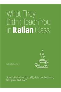 What They Didn't Teach You in Italian Class