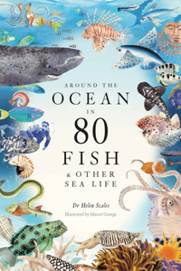 Around the Ocean in 80 Fish and other Sea Life