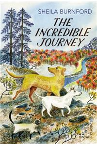 Incredible Journey