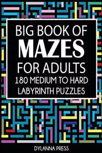 Big Book of Mazes for Adults