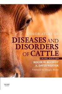 Color Atlas of Diseases and Disorders of Cattle