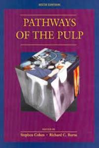 Pathways of the Pulp