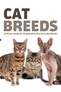 Cat Breeds