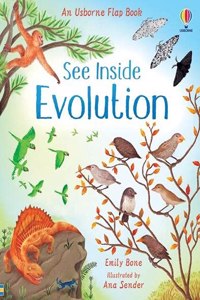 SEE INSIDE EVOLUTION