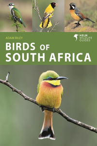 Birds of South Africa