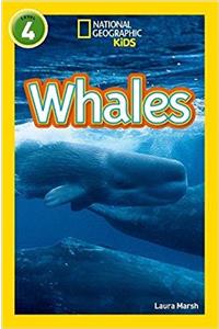 Whales