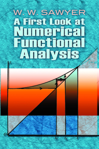 A First Look at Numerical Functional Analysis