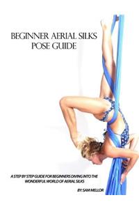 Beginner Aerial Silks Pose Guide