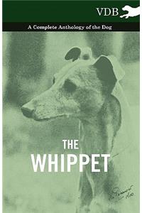 The Whippet - A Complete Anthology of the Dog