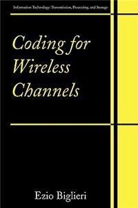 Coding for Wireless Channels