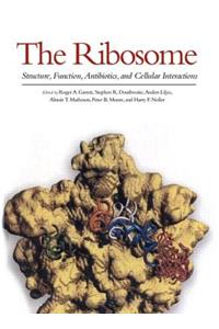 The Ribosome