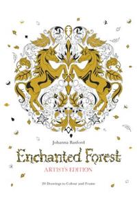 Enchanted Forest