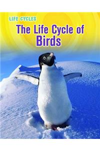 The Life Cycle of Birds