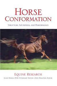 Horse Conformation