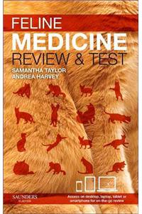 Feline Medicine - review and test