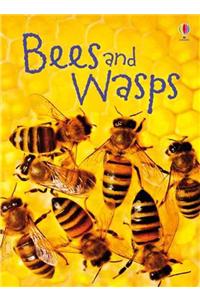 Bees and Wasps