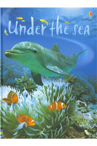 Under The Sea