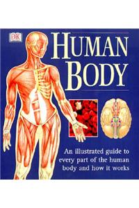 The Human Body