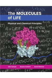 The Molecules of Life