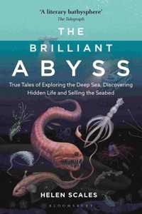 The Brilliant Abyss