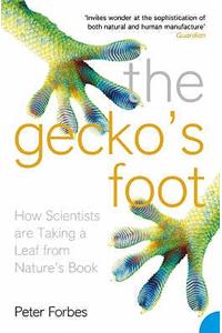 The Gecko's Foot